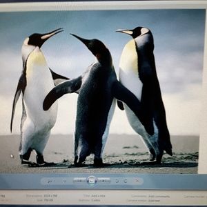 All offers considered